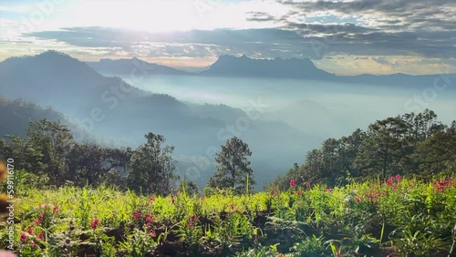 Nestled in the beautiful Wiang Haeng District of Chiang Mai, Akipu Camping offers an idyllic retreat for nature lovers seeking a tranquil escape. Thailand's stunning natural scenery. photo