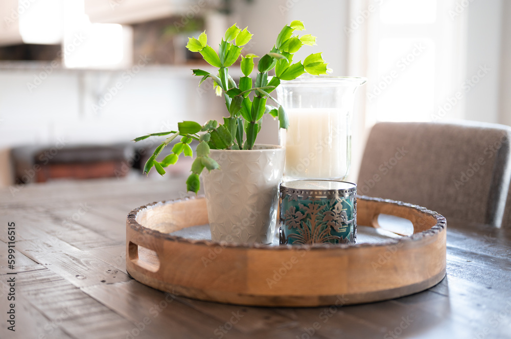 showcasing a lively green plant placed in a chic white vase on a rustic ...