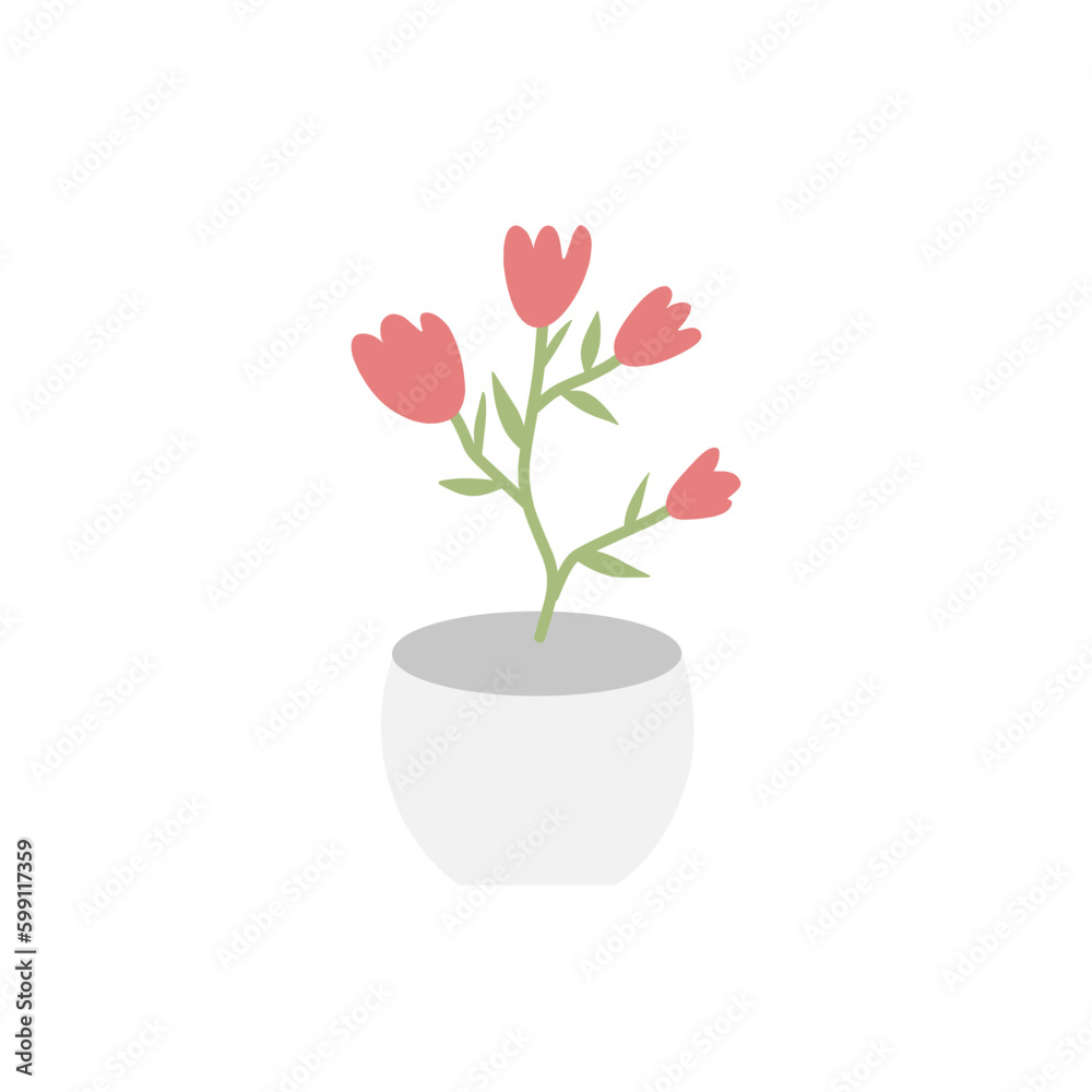 Houseplants Houseplants
