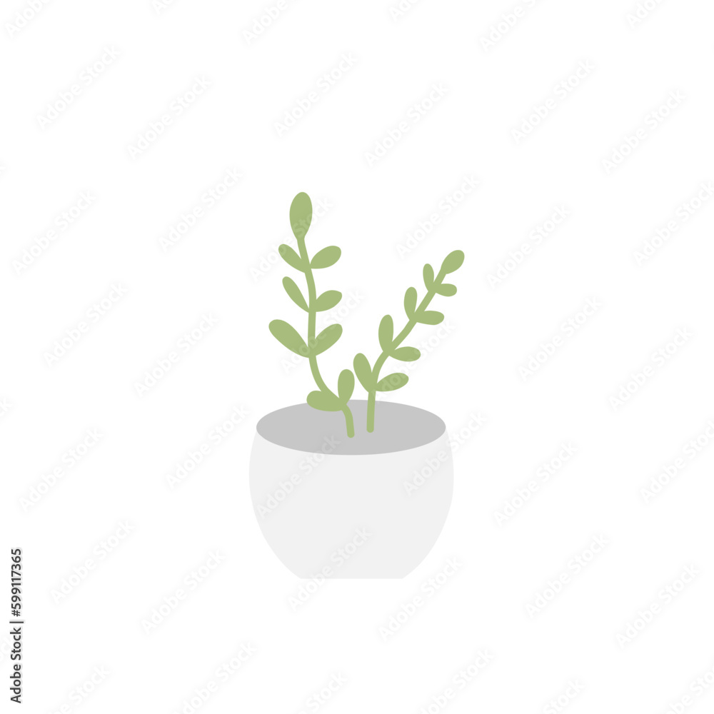Houseplants Houseplants