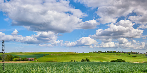 Photos from Denmark. A photo of the Danish countryside at summertime. © Dhoxax/peopleimages.com