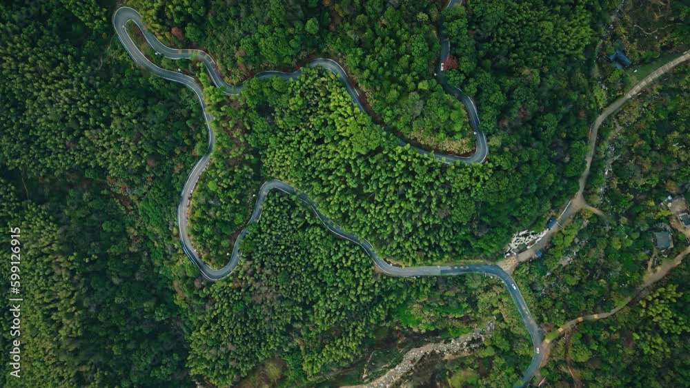 Aerial photography of dense jungle Aerial photography of dense jungle