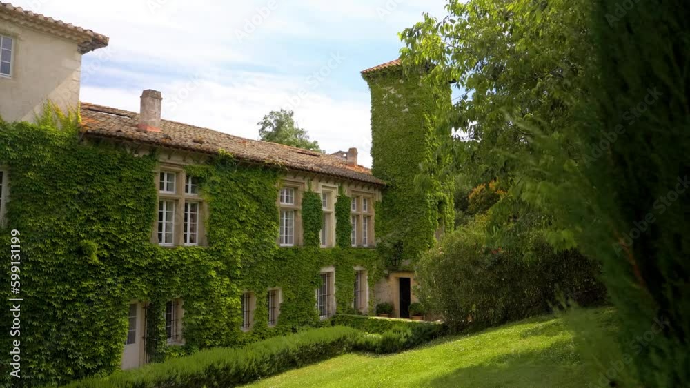 side shot behind a tree that reveals a large house covered with ivy with a large tower, the weather is sunny and the wind moves the leaves side shot behind a tree that reveals a large house covered with ivy with a large tower, the weather is sunny and the wind moves the leaves