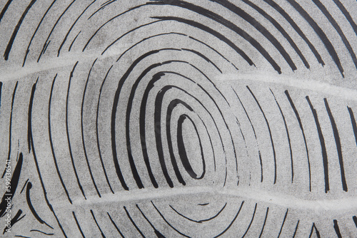 Background texture...circle fingerprints, forensic abstract background...circle abstract