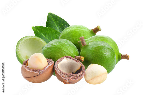 macadamia nuts with leaf isolated on transparent png