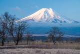 忍野村から富士山