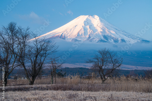 忍野村から富士山 © 文明 金本