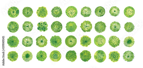Set of green trees, top view, isolated on white background for landscape or architecture plan. Design elements for environment or garden map, vector illustration.