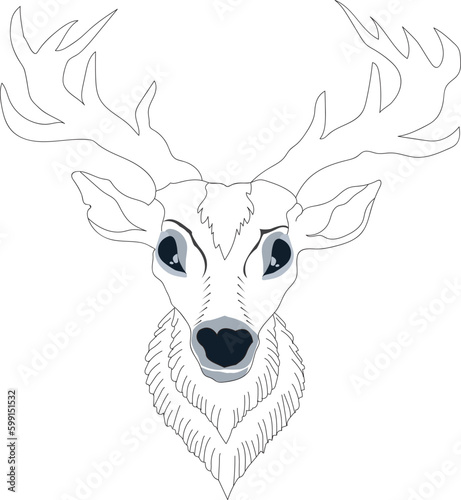 deer head vector illustration