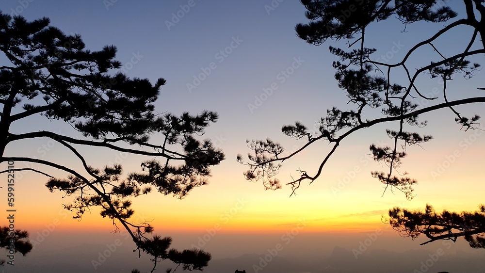 Fototapeta premium sunset on the lake