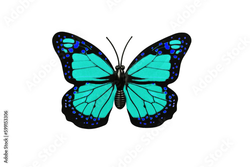 Turquoise butterfly isolated on transparent background top view. Butterfly as an element for design.