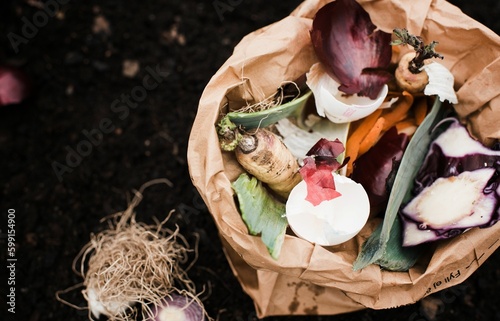 Photography compost food waste in a brown bag full of vegetables
