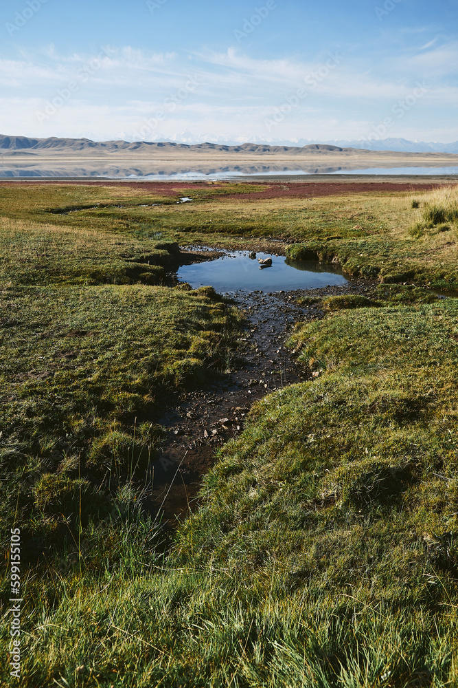 Landscape on TuzKol Lake in Kazakhstan, green field and river