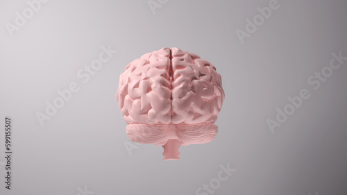 Pink brain in front view on grey background, thinking comic spee