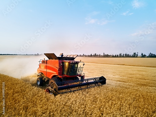 Aerial drone photo of red harvester working in wheat field on sunset. Combine harvesting machine driver cutting crop in farmland. Organic farming. Agriculture theme, harvesting season. photo