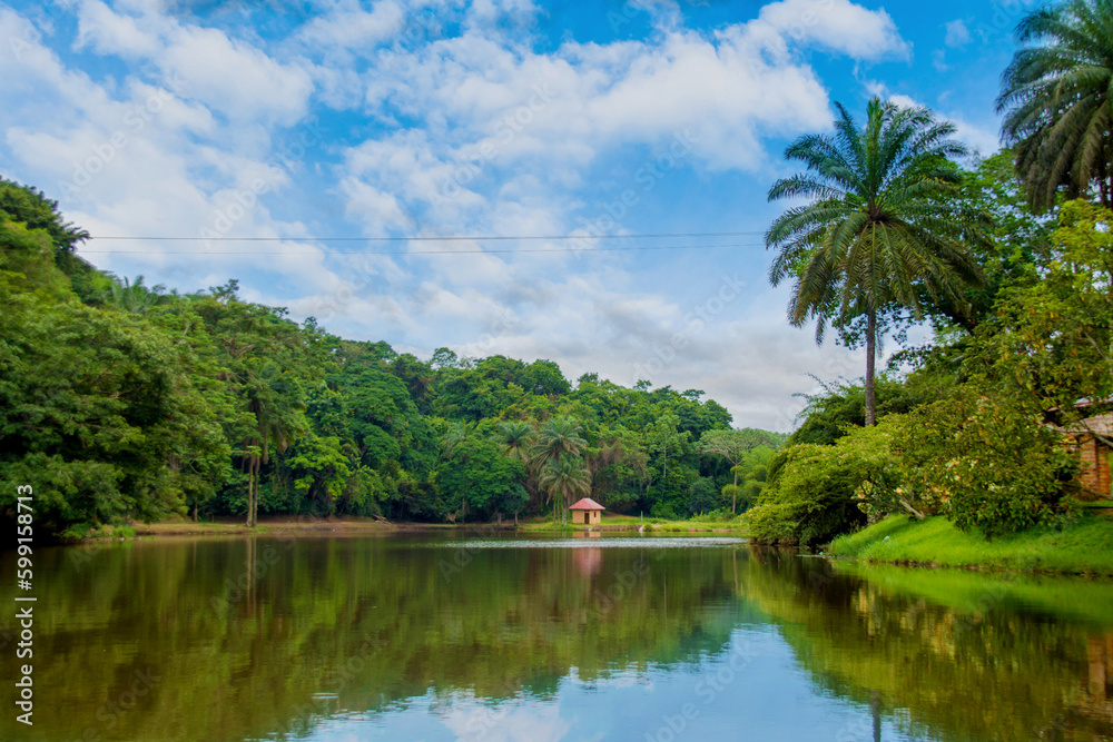 the beautiful landscape of Lac Ma Valée, a large green space of more than 350 hectares with fauna scattered in the forest and flora that contributes greatly to the ventilation of Kinshasa.