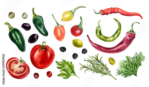 Set of tomato, olives, hot peppers and herbs watercolor illustration isolated on white. Jalapeno, peppercorns, chilli pepper, parsley, rosemary hand drawn. Elements for menu, cookbook, package