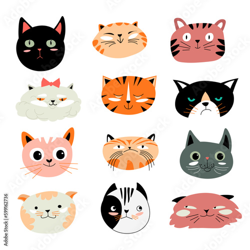 Funny cats muzzles, kitty and kitten feline animal