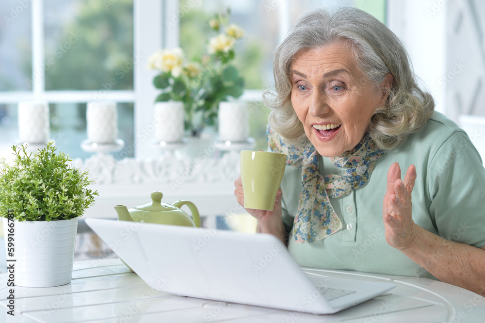 Portrait of beautiful senior woman sitting at table with laptop Portrait of beautiful senior woman sitting at table with laptop