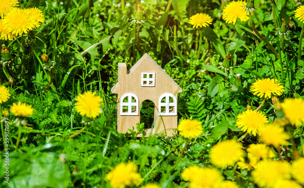 The symbol of the house stands among the yellow dandelions
The symbol of the house stands among the yellow dandelions