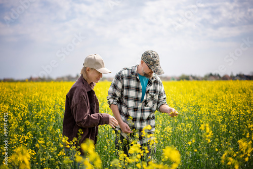 Obraz na płótnie Young adult caucasian couple of farmers standing in a spring flowering canola field checking the quality of seedlings w salonie