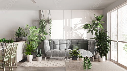 Fototapeta Naklejka Na Ścianę i Meble -  Urban jungle, kitchen and living room in white and bleached tones. Dining table, parquet floor and houseplants. Home garden interior design. Love for plants concept