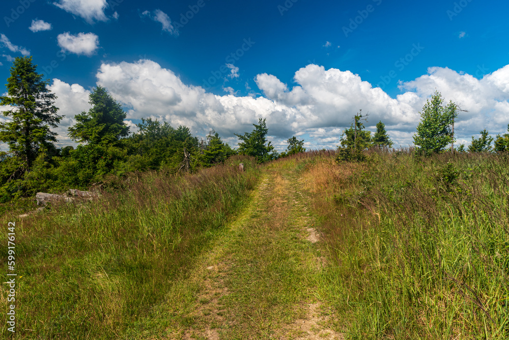Forest glade covered by grass with few trees, trail and blue sky with clouds in Kysucke Beskydy mountains in Slovakia