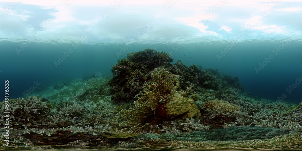 Tropical fishes and coral reef underwater. Hard and soft corals, underwater landscape. Philippines. Virtual Reality 360.