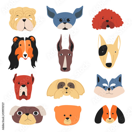 Dog breeds, purebred or stray canine animals