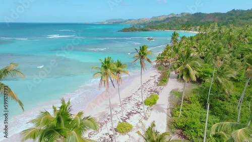 Aerial view of tropical Playa rincon with sandy beach and clear Caribbean Sea in sun photo