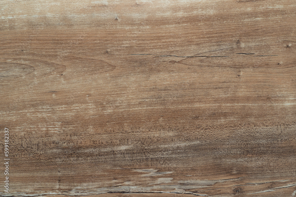 Photo of the structure of a wooden coating. Photo of the structure of a wooden coating.