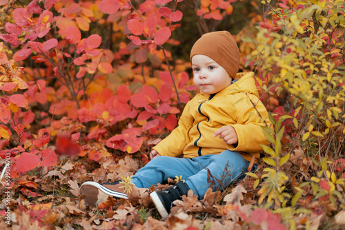 Little boy in autumn park over red and orange leaves background. Happy childhood. kids fashion.