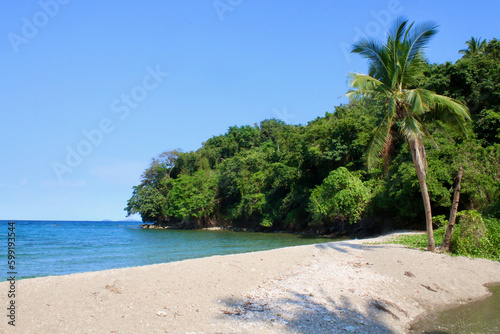 Tropical landscape. A lonely palm tree on a sandy shore by the sea against a blue sky.