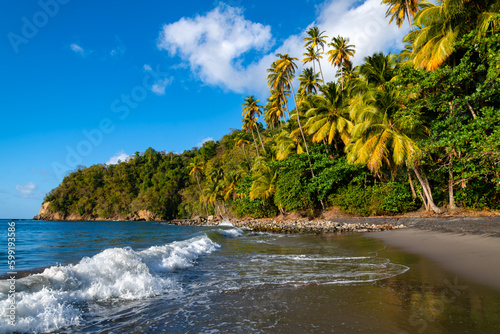 “Anse Couleuvre“ is a secluded tropical beach with rain forest and tall palm trees in Le Prêcheur on Martinique island, Caribbean Sea (France). Idyllic holiday paradise with black volcanic lava sand.