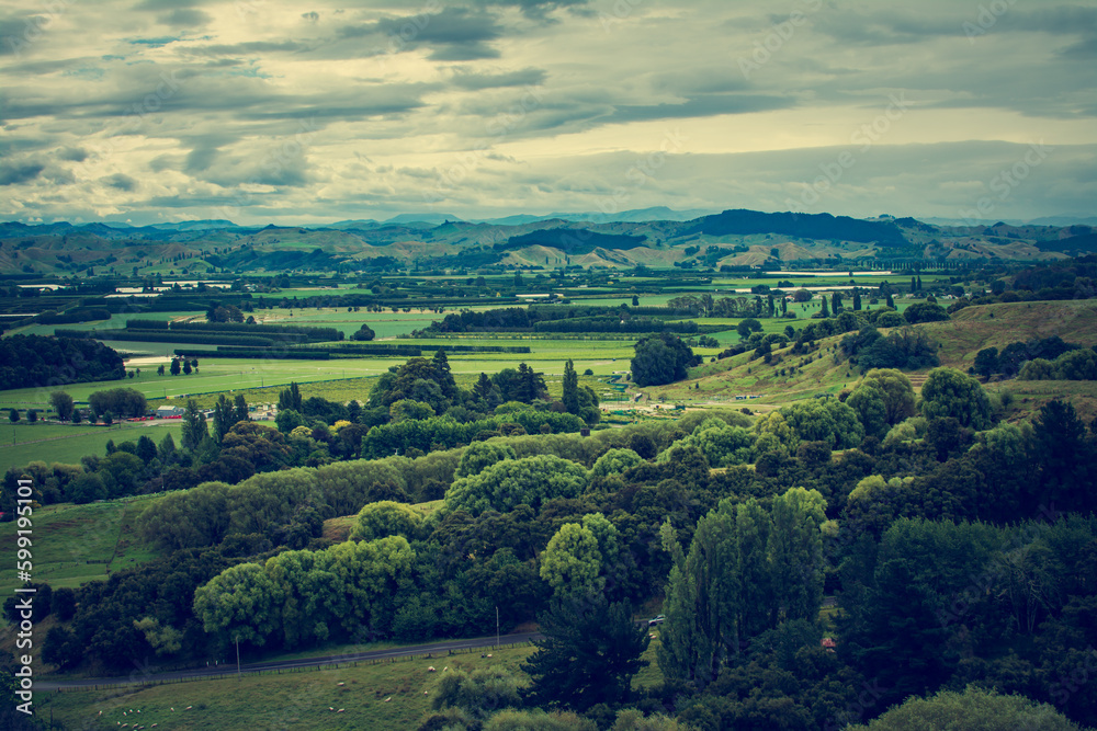 Retro style photo of New Zealand Landscape with green rolling hills and distant mountain range under cloudy sky. Greys Hill Lookout, Gisborne, North Island, New Zealand