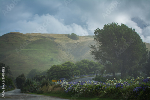 Sunlight filtering through heavy mist and rain over green hills along Pacific Coast Highway, Gisborne, New Zealand