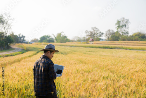 Asian man smart farmer using modern digital technology by laptop computer in barley field for industrial development. © ArLawKa
