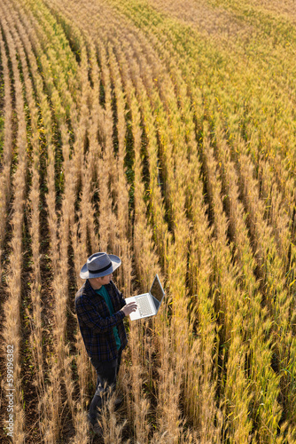 Asian man smart farmer using modern digital technology by laptop computer in barley field for industrial development.