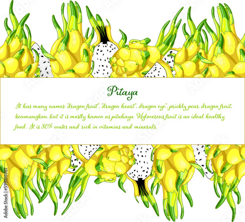 Tasty dragon fruit rectangle frame. Organic pitaya design element. Exotic yellow pitahaya vector illustration. Delicious cactus pieces of vitamins