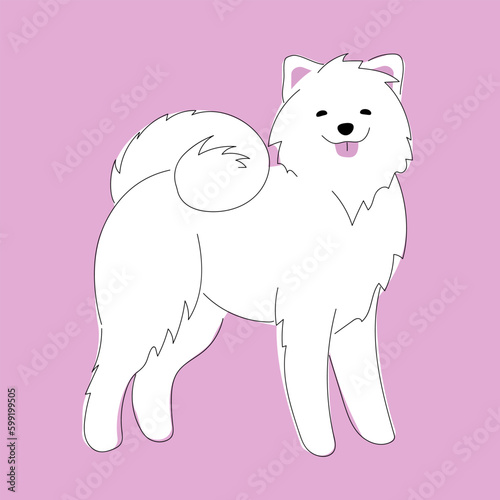 vector illustration decorative picture with drawn large fluffy Samoyed dog  postcard with a beautiful dog on pink background