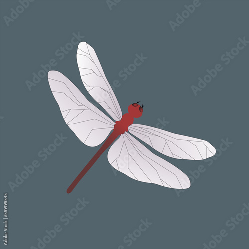 vector flat illustration insect red dragonfly with white wings