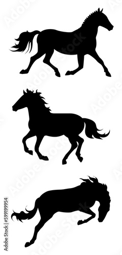 set of vector black flat silhouettes of horses running  horse trotting  horse galloping  horse jumping