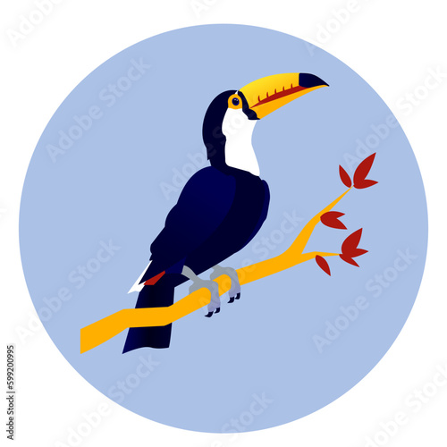 vector color flat illustration with a tropical exotic toucan bird with a large beak in a blue circle