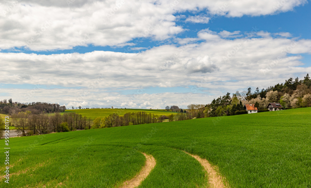Springtime field landscape.