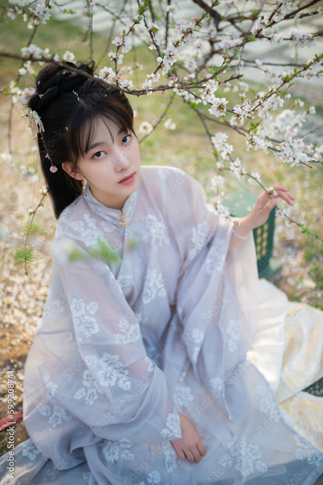 girl in hanfu girl in hanfu