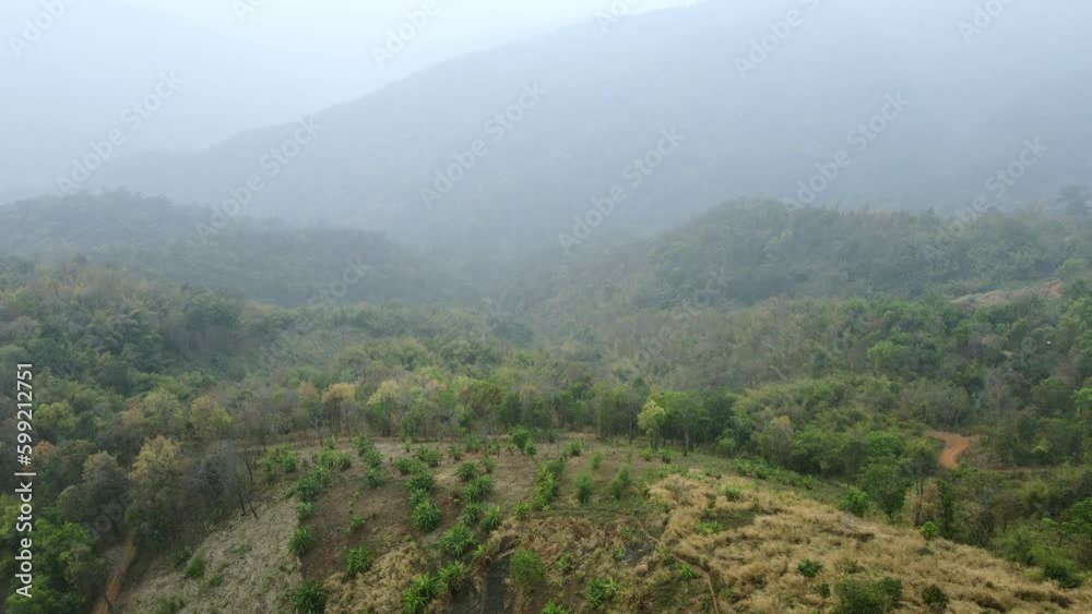 Aerial view of air pollution of dangerous smog covering green mountain. Smog, PM2.5 and ecological problems Aerial view of air pollution of dangerous smog covering green mountain. Smog, PM2.5 and ecological problems