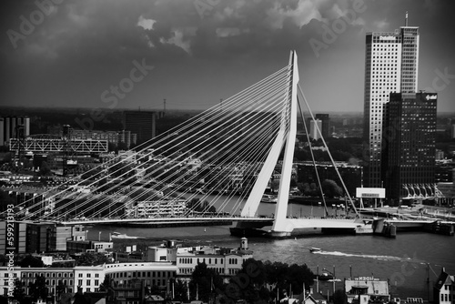Erasmus bridge over the river thames
