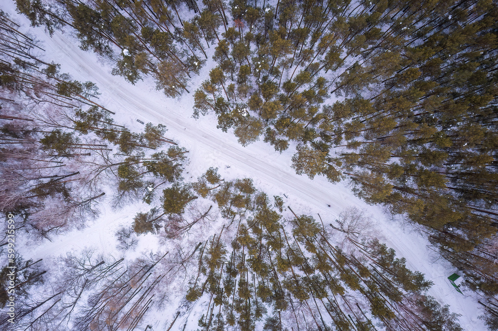 Aerial view of the road in the winter forest with high pine or spruce trees covered by snow. Driving in winter. Aerial view of the road in the winter forest with high pine or spruce trees covered by snow. Driving in winter.