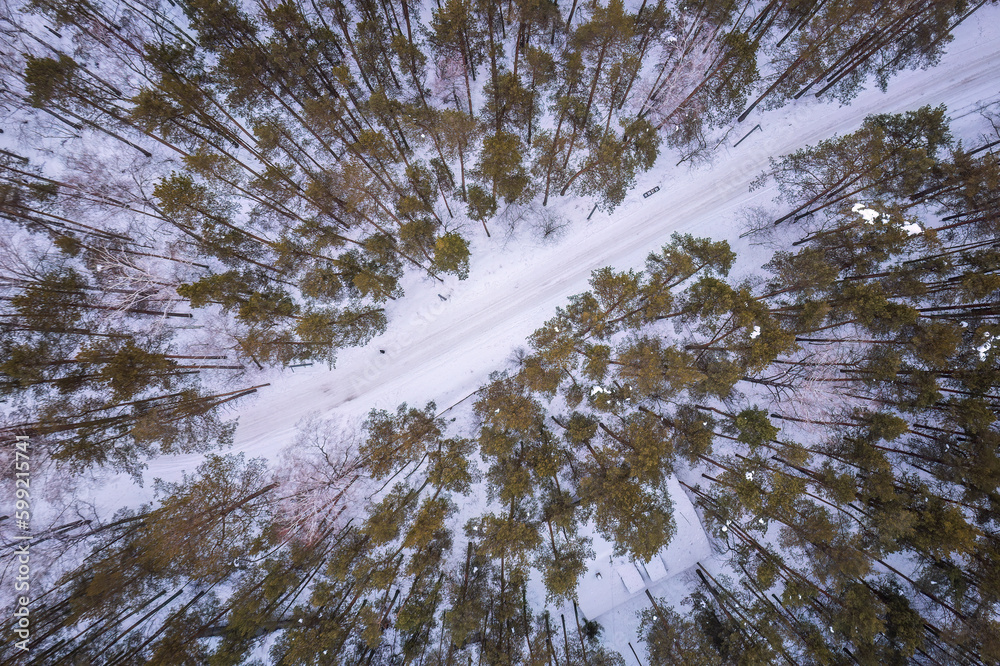 Aerial view of the road in the winter forest with high pine or spruce trees covered by snow. Driving in winter. Aerial view of the road in the winter forest with high pine or spruce trees covered by snow. Driving in winter.