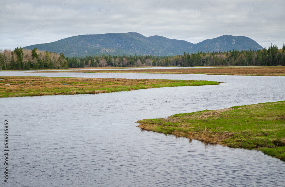 Great Meadow Wetland at Acadia National Park